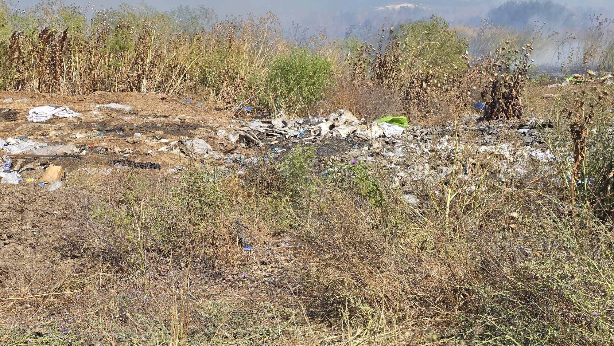 I M G 20250619 W A0024