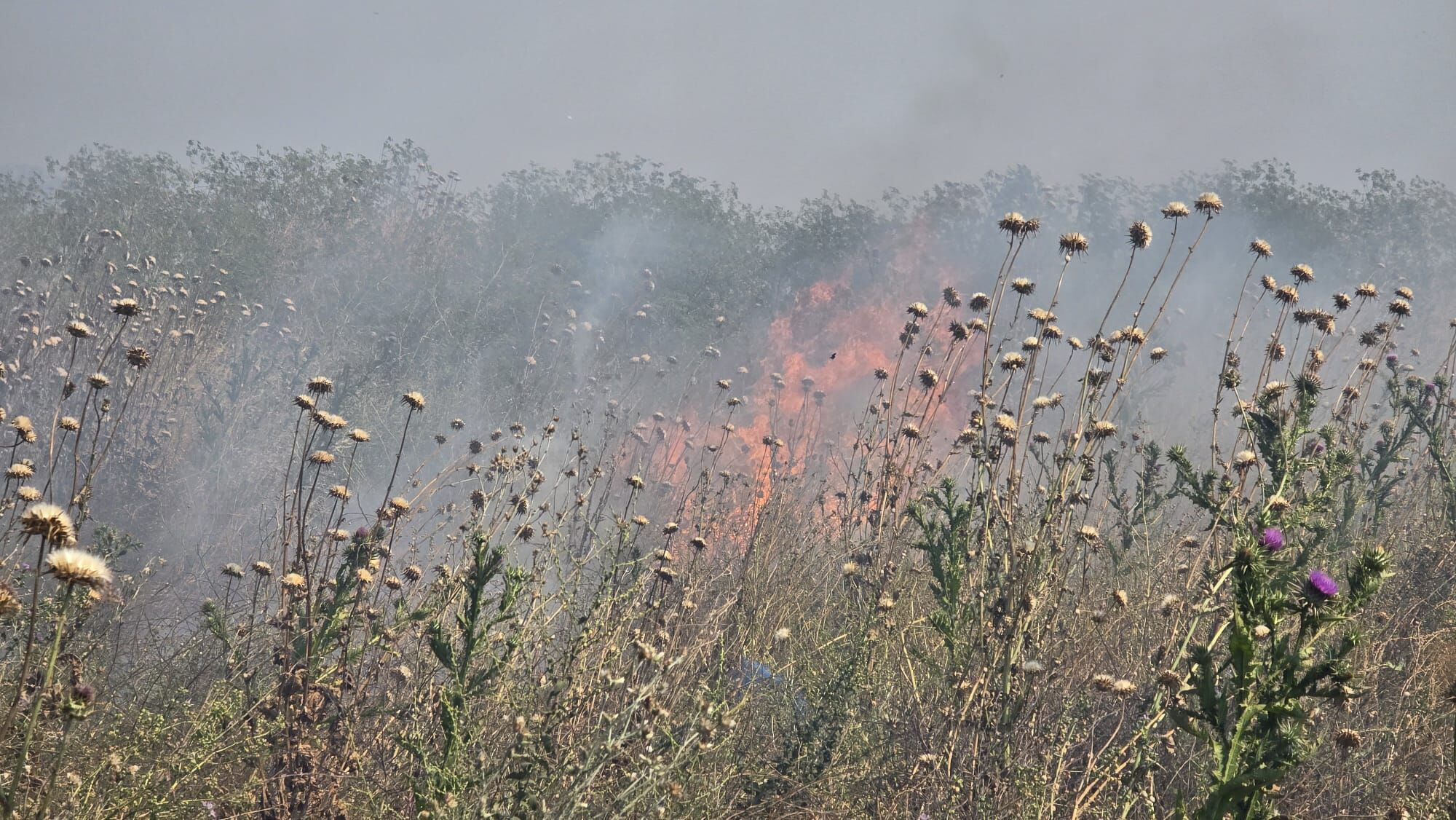 I M G 20250619 W A0025