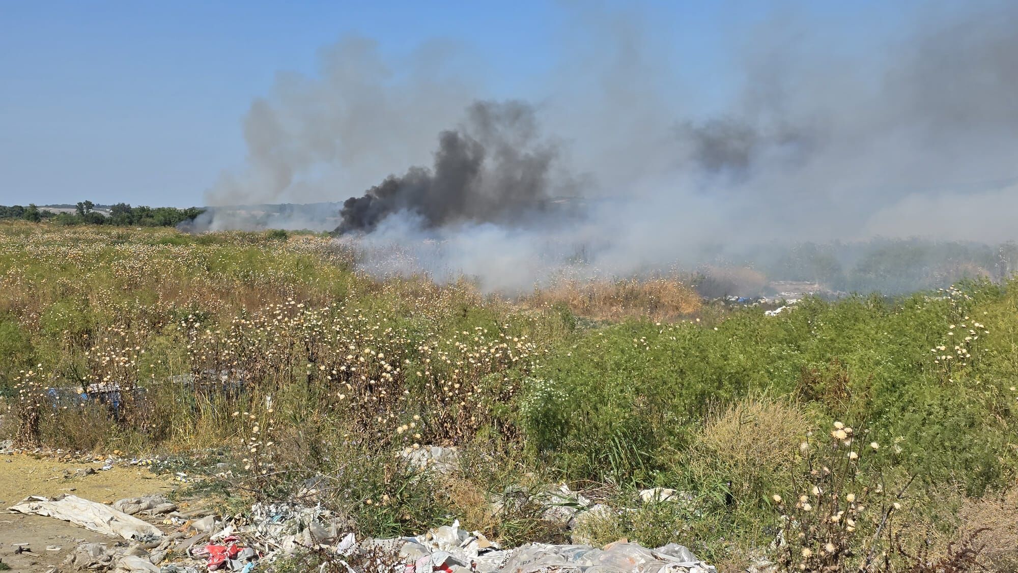 I M G 20250619 W A0027