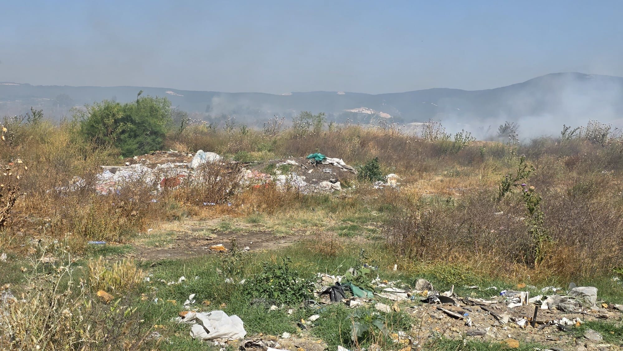 I M G 20250619 W A0028