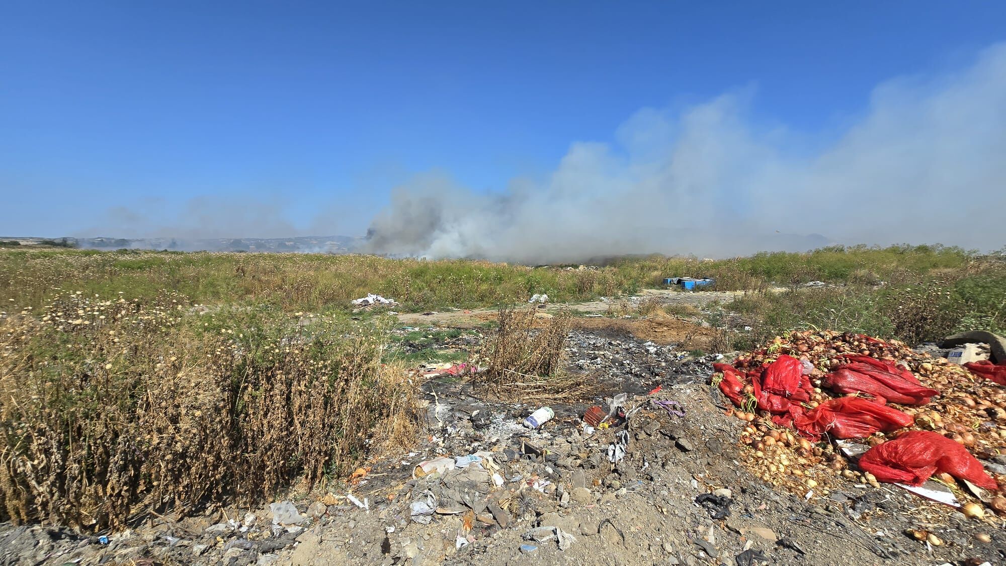 I M G 20250619 W A0029