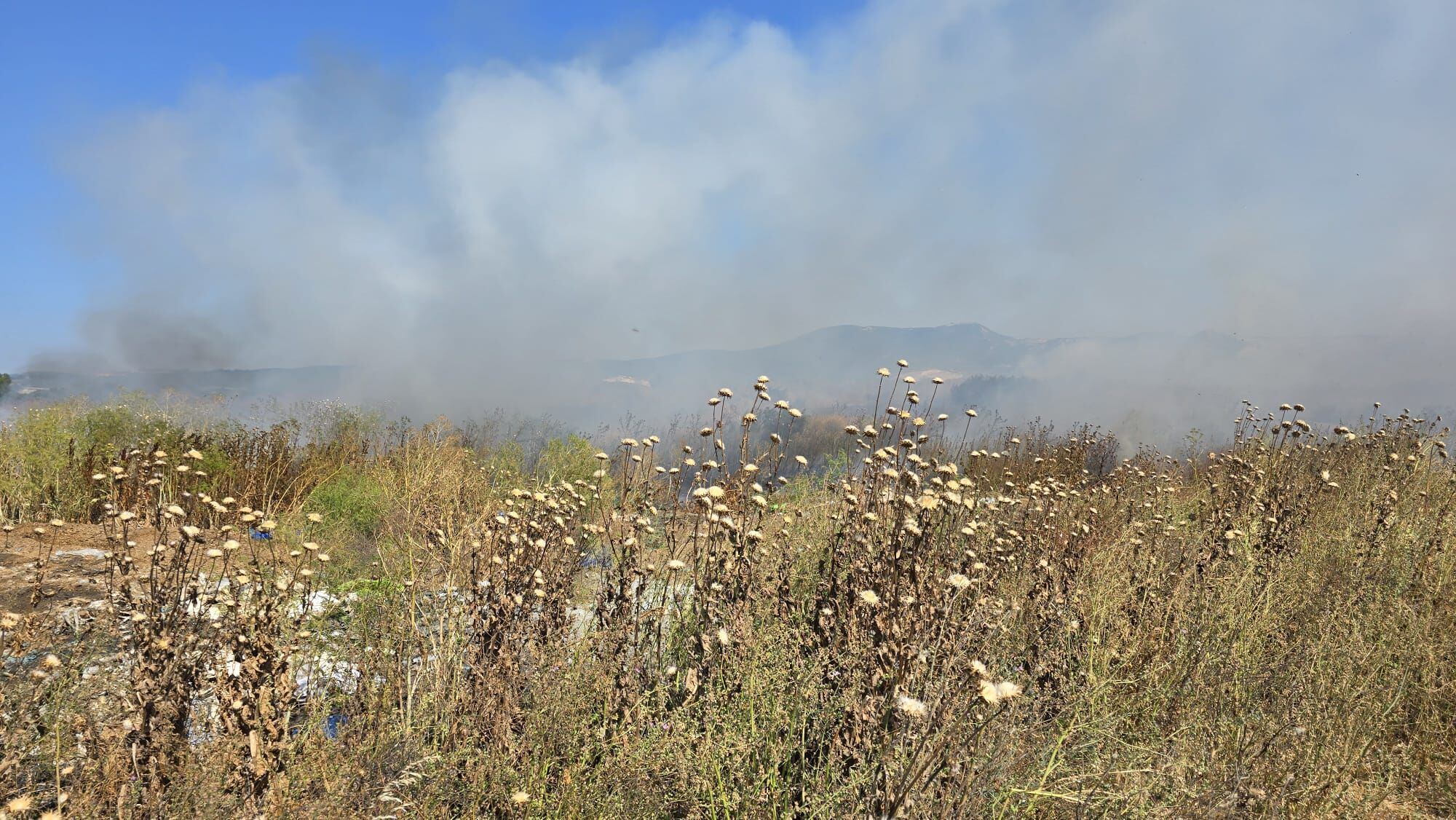 I M G 20250619 W A0030