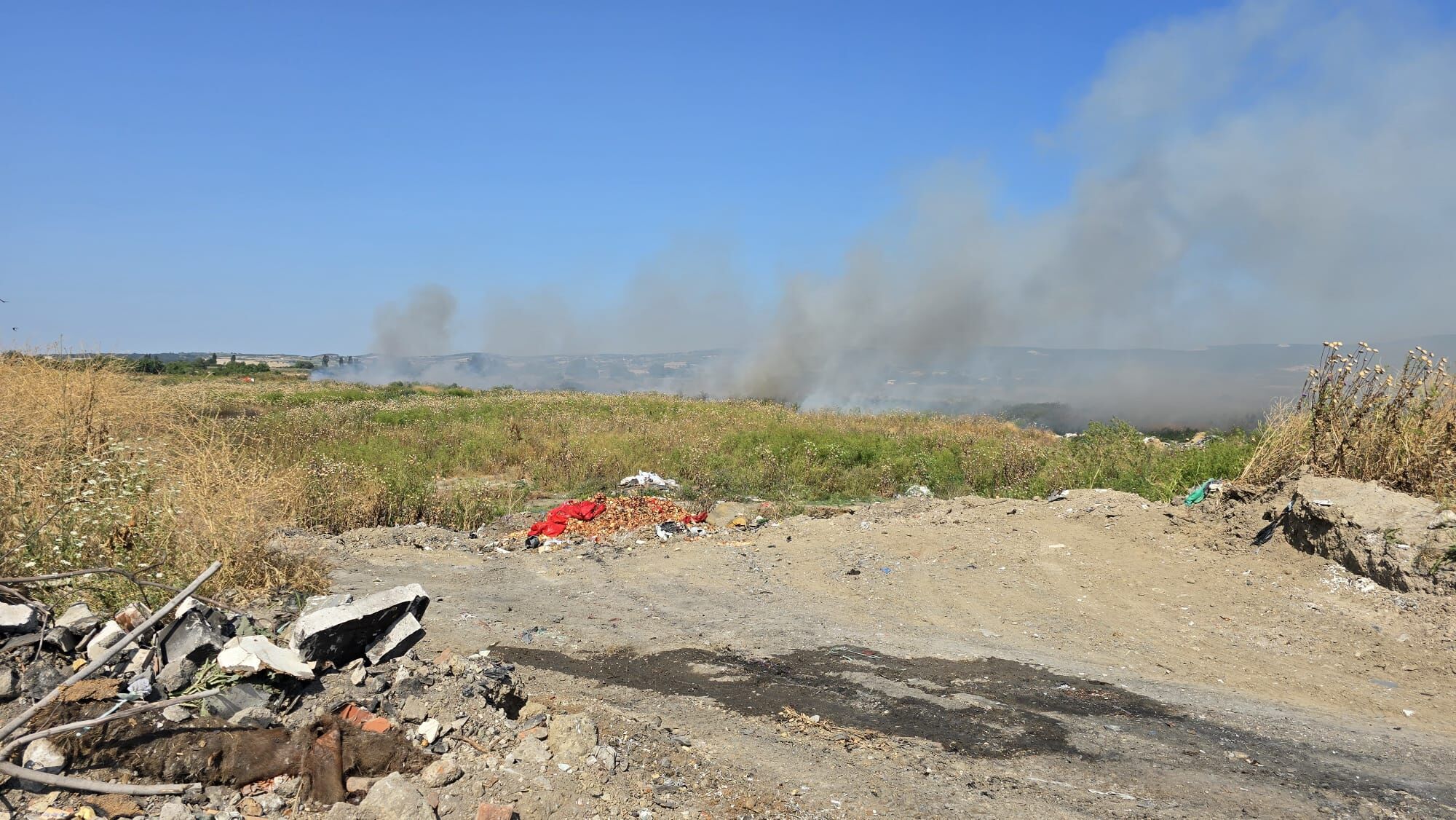 I M G 20250619 W A0031