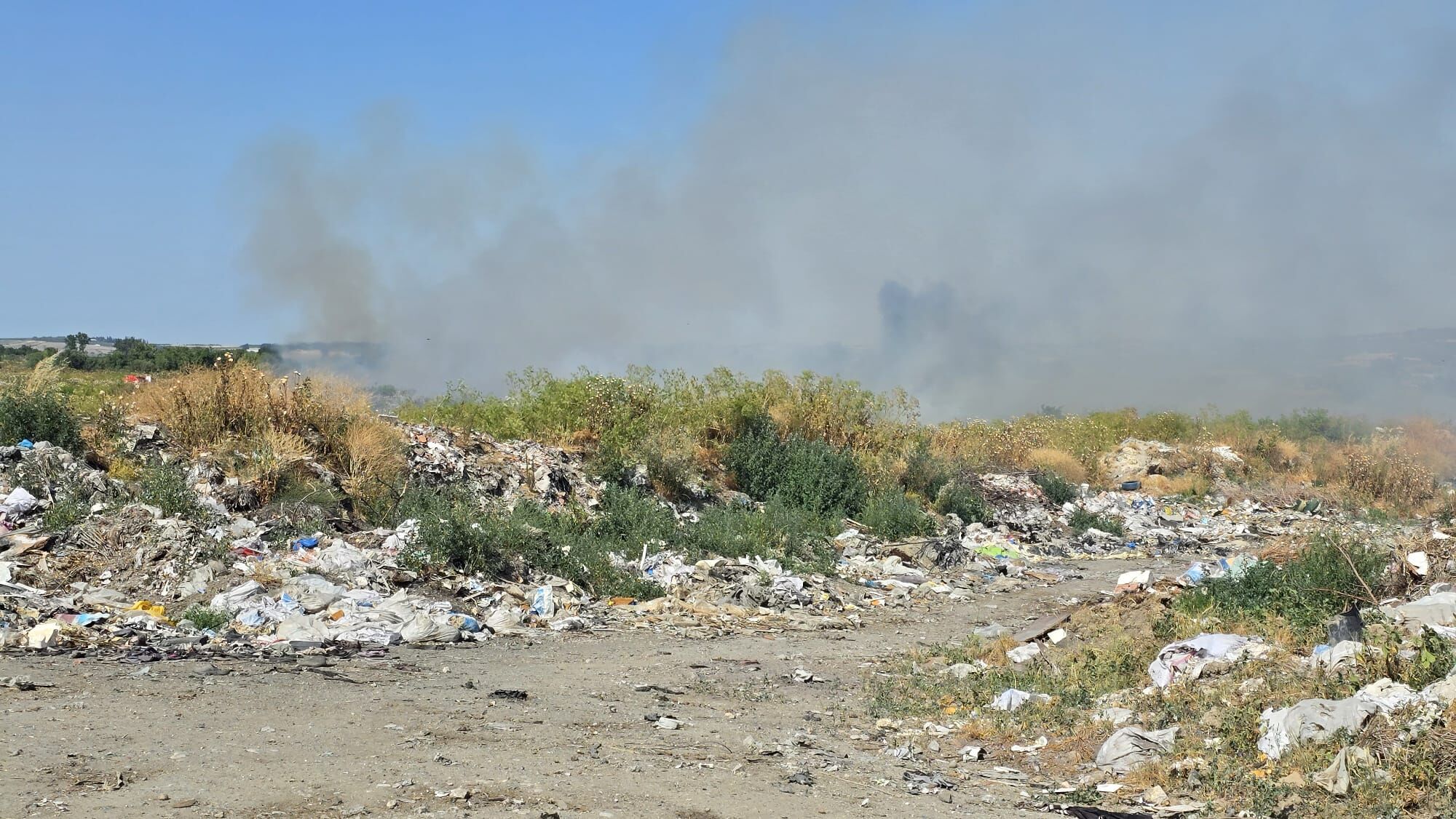 I M G 20250619 W A0032