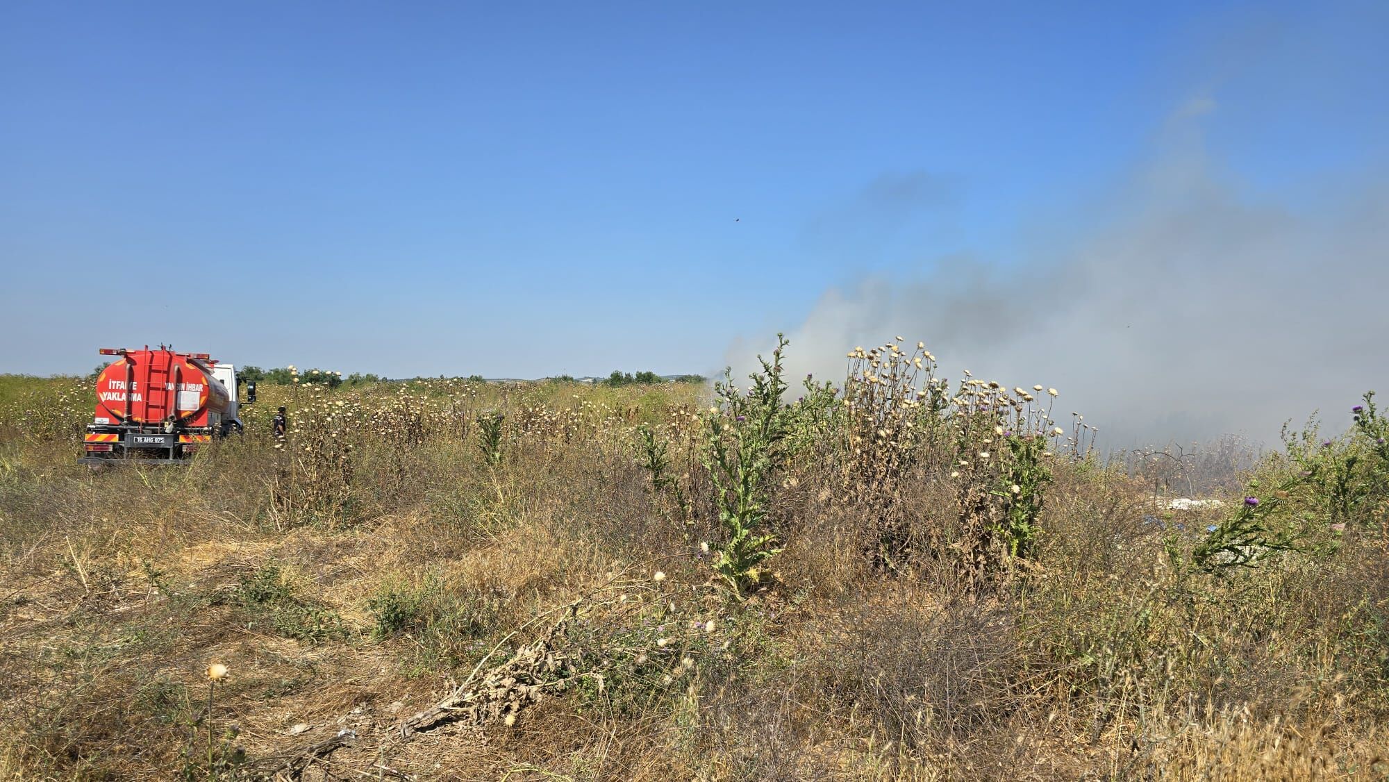 I M G 20250619 W A0033