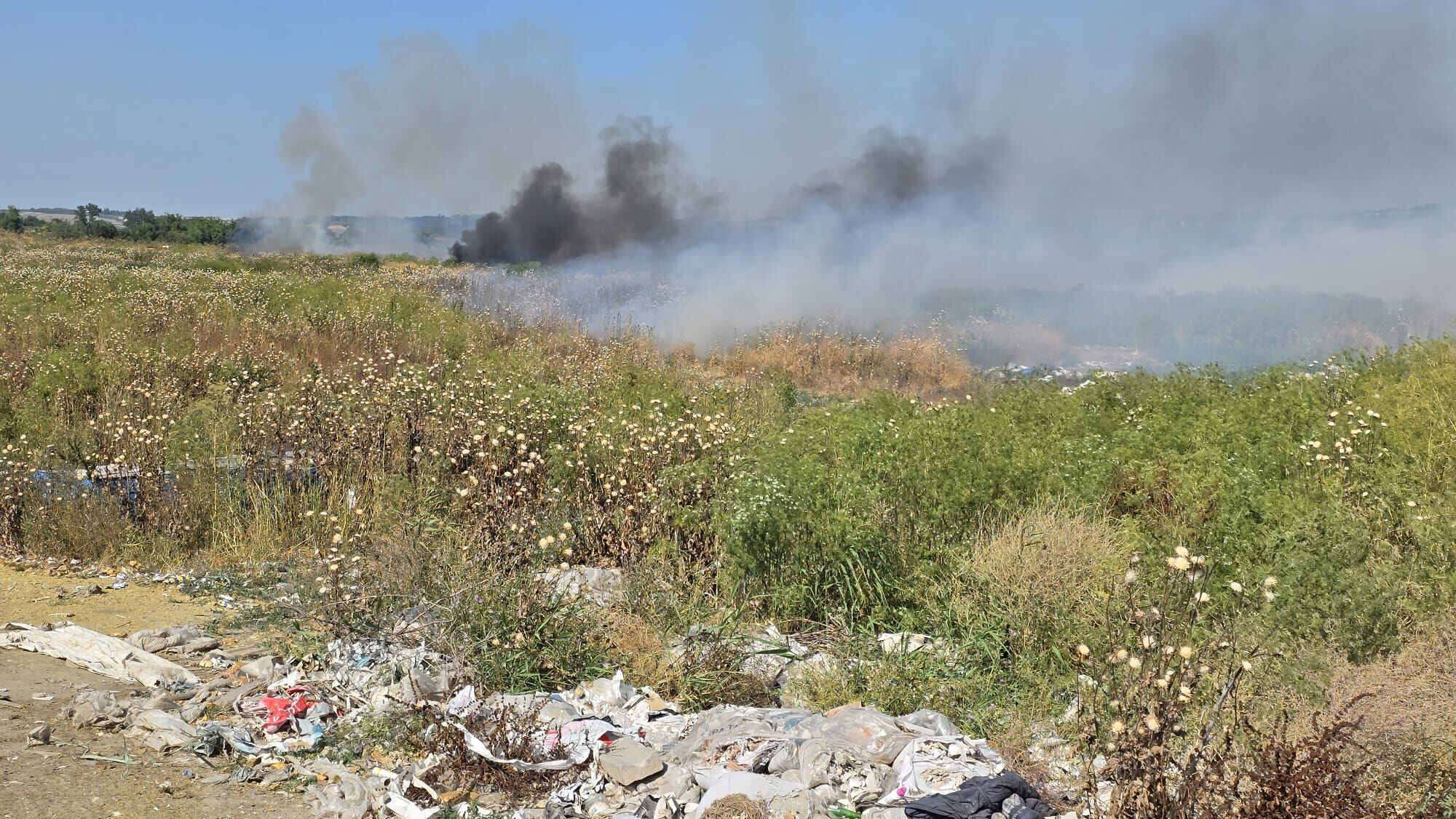 I M G 20250619 W A0034