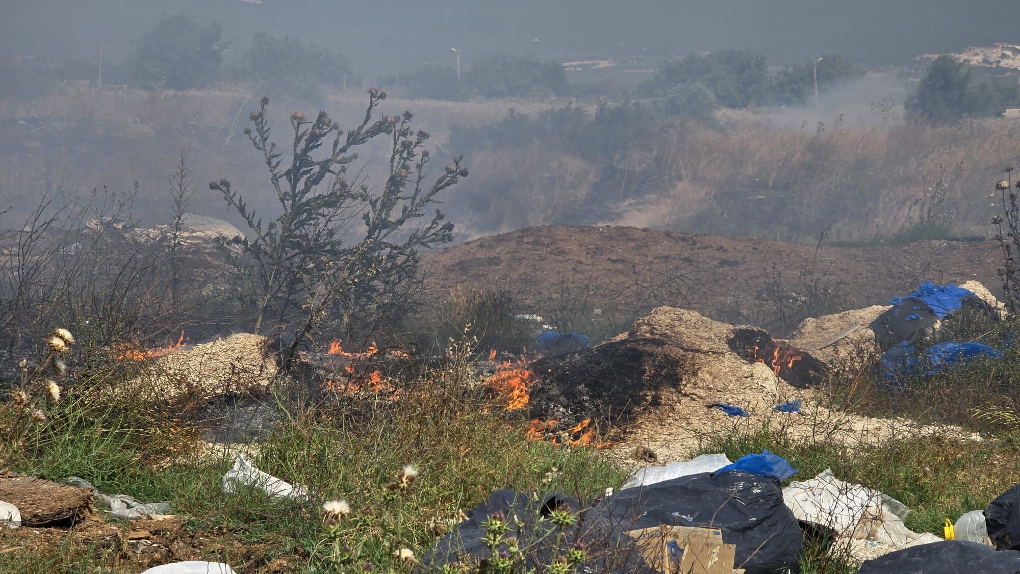 I M G 20250619 W A0035