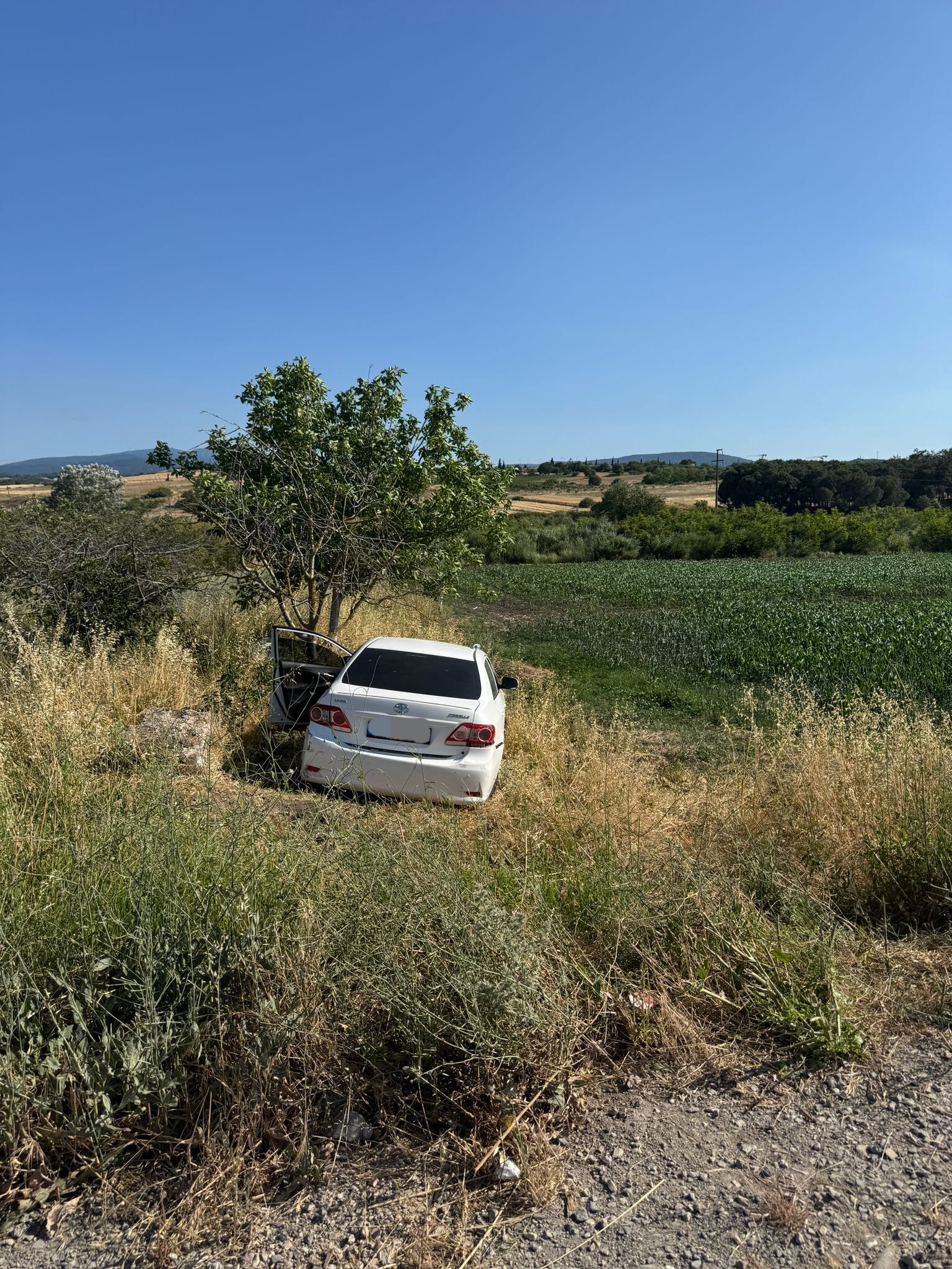 I M G 20250622 W A0120