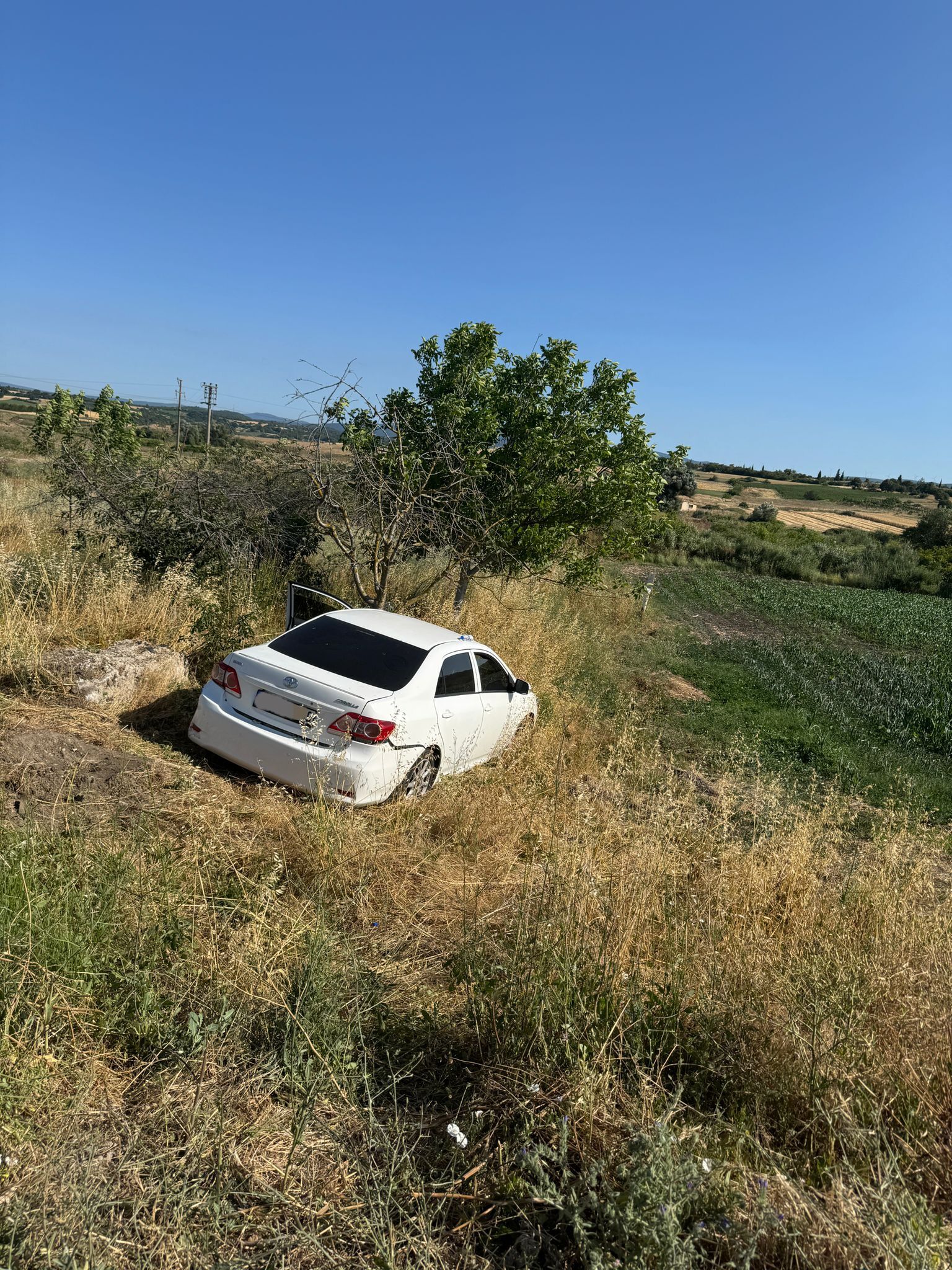 I M G 20250622 W A0121