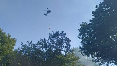 Kestelek Mahallesi'nde saat 18.00 sıralarında ormanlık alanda yangın çıktı.