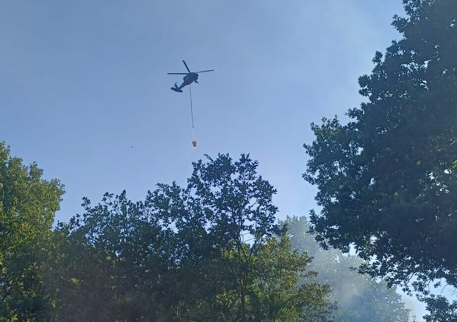 Kestelek Mahallesi'nde saat 18.00 sıralarında ormanlık alanda yangın çıktı.