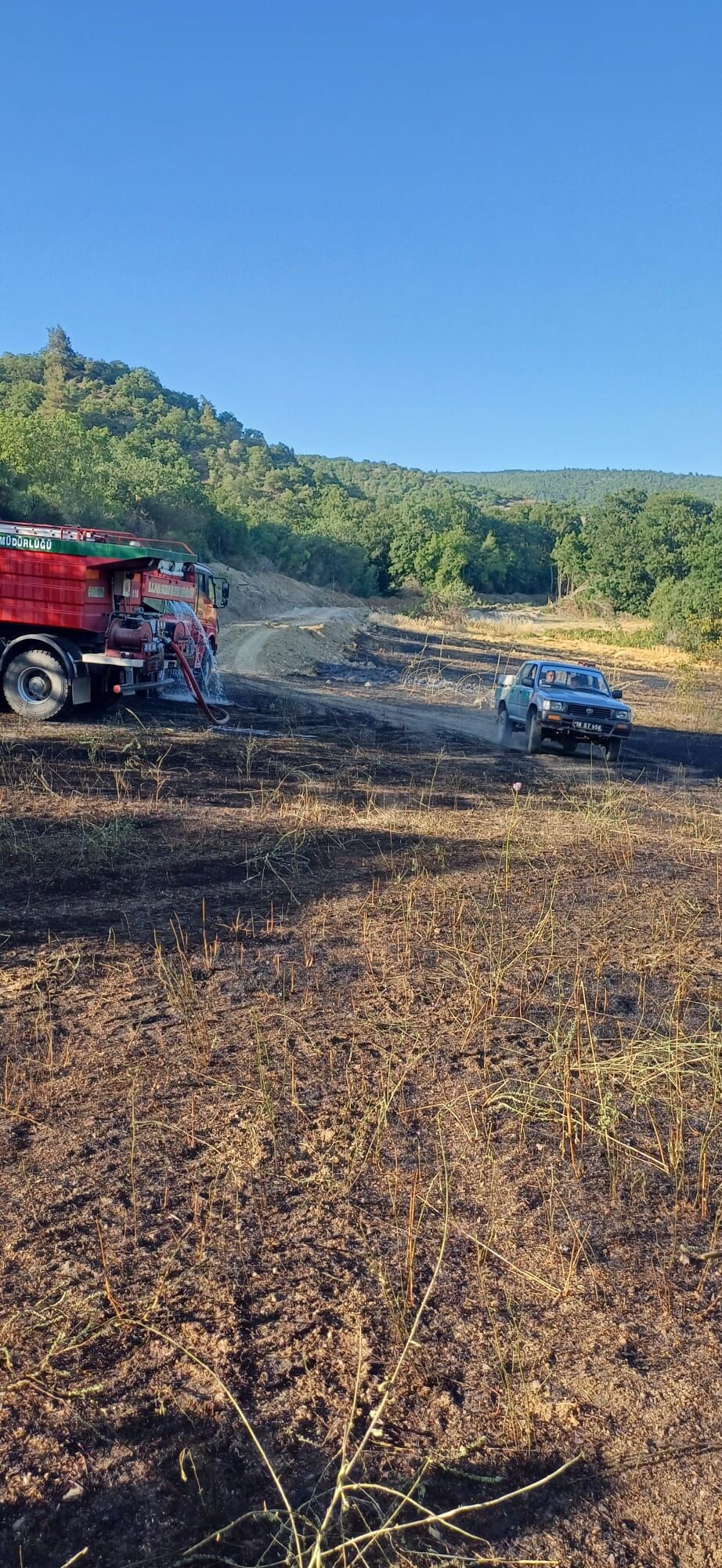 I M G 20250622 W A0131