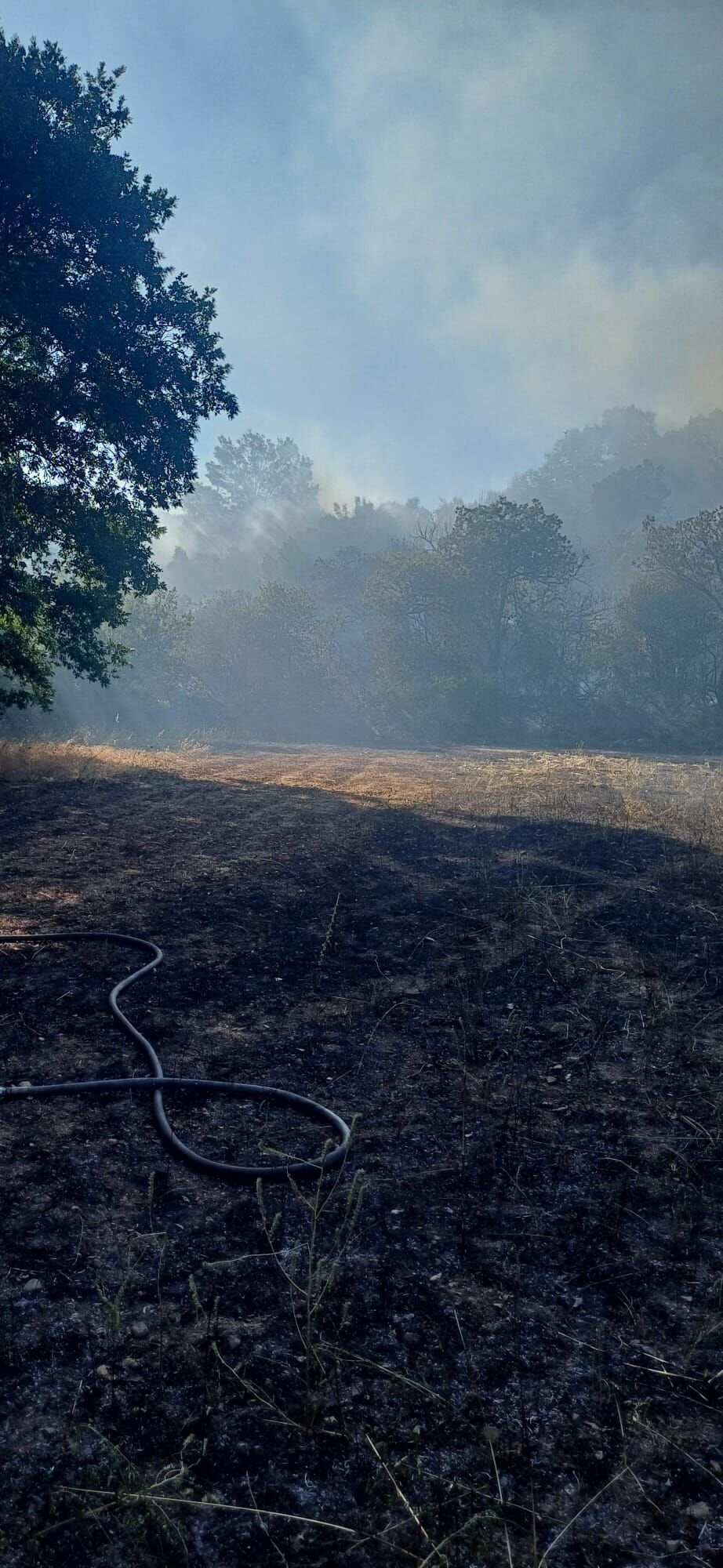 I M G 20250622 W A0135