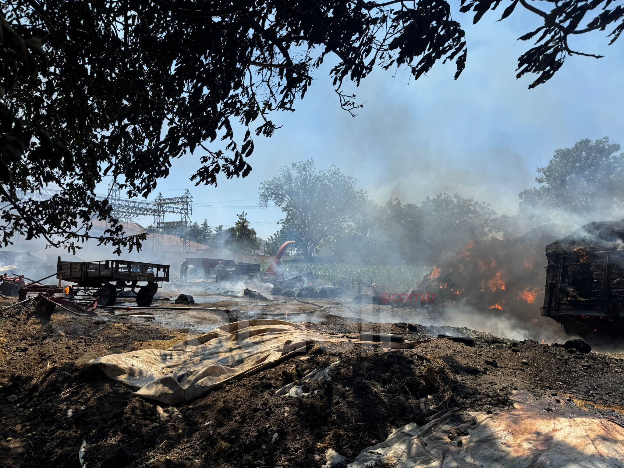 I M G 20250627 W A0022