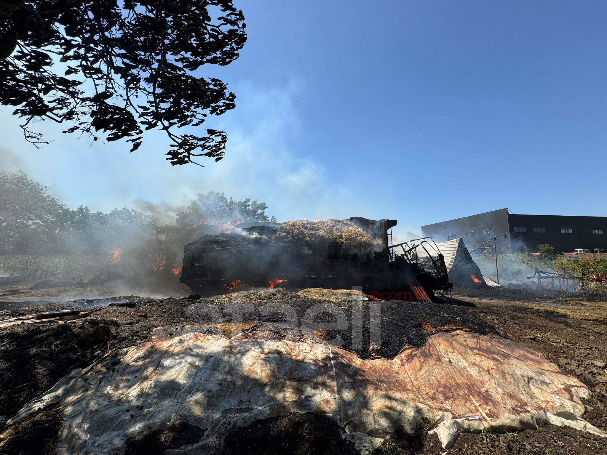 I M G 20250627 W A0023