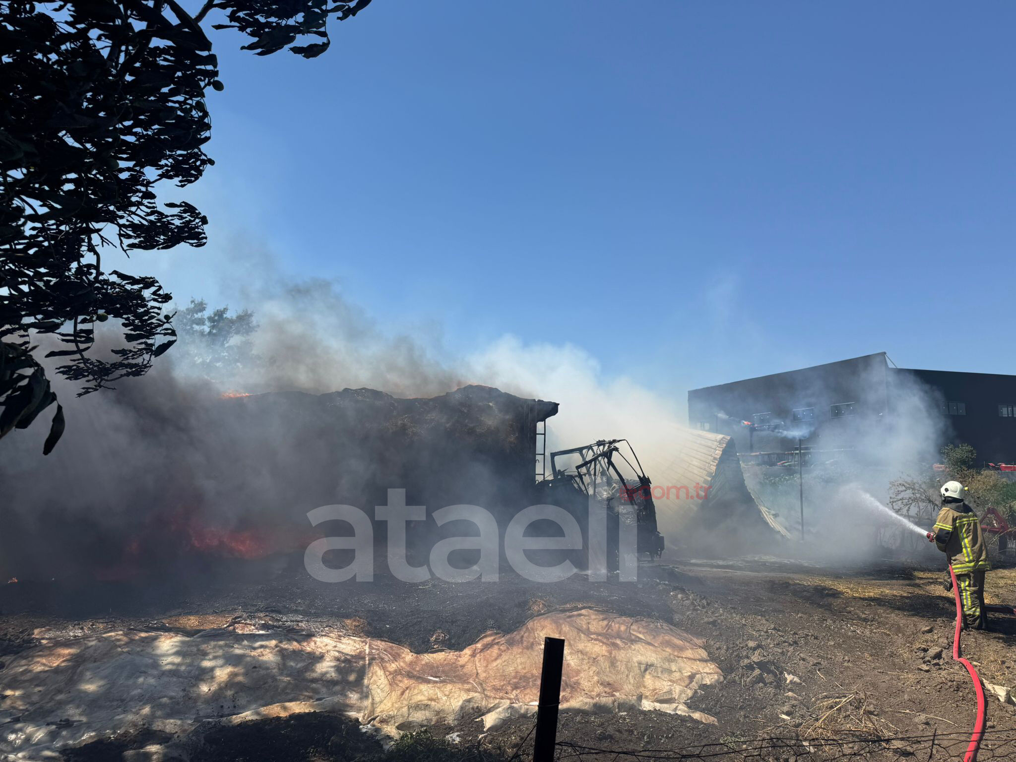 I M G 20250627 W A0029