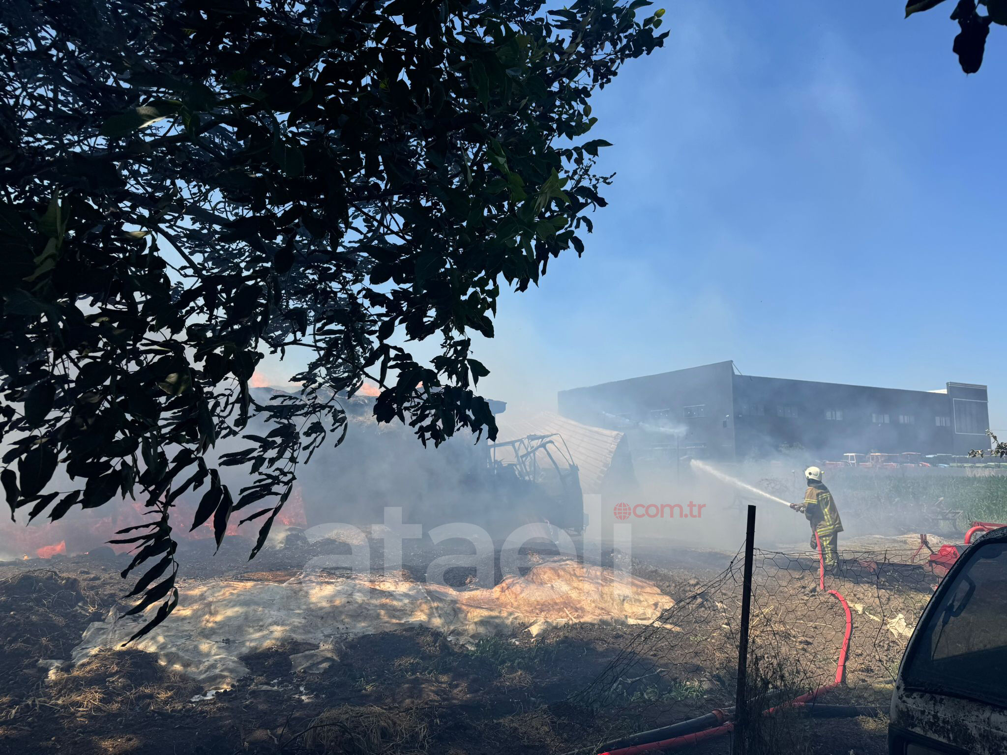 I M G 20250627 W A0031