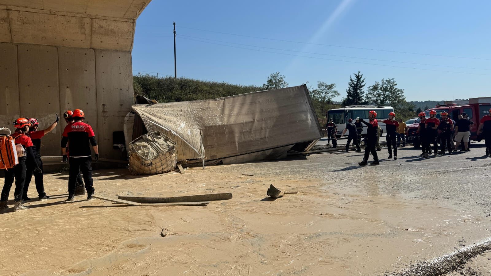 I M G 20250811 W A0258