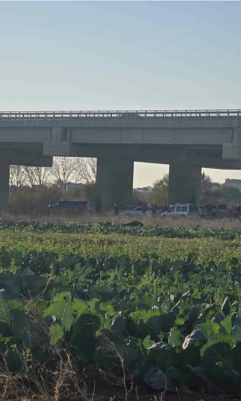 I M G 20251116 W A0028