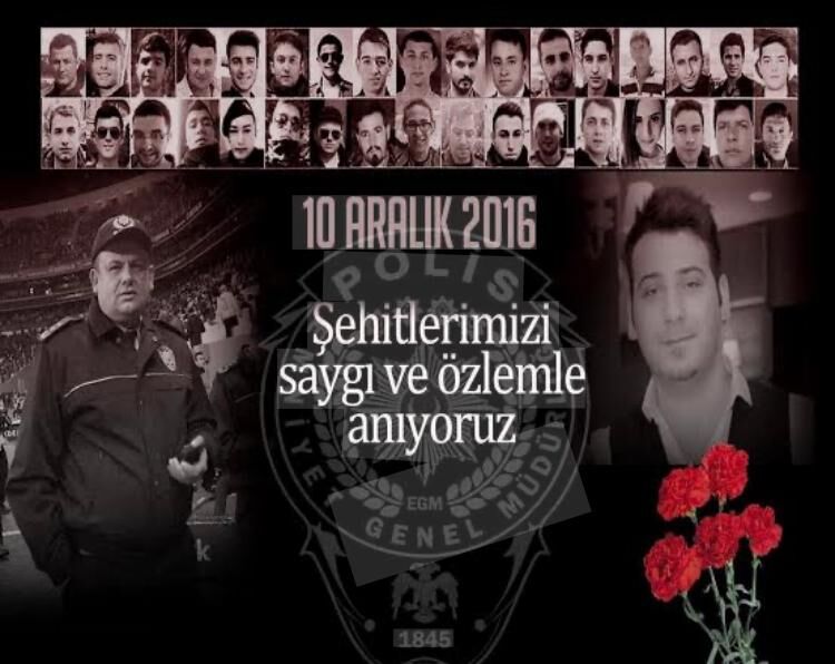 I M G 20251126 W A0015-1