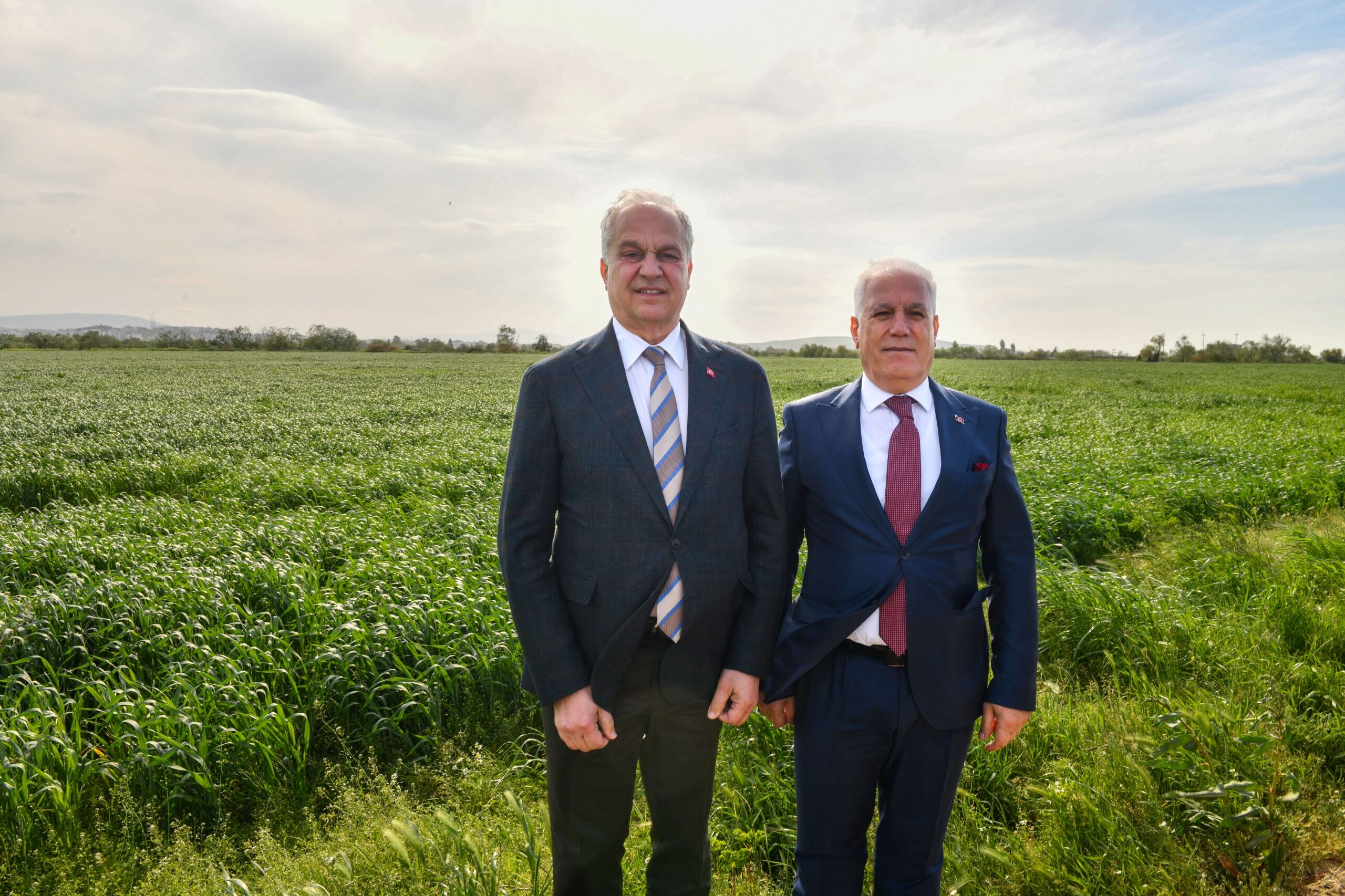 Mustafakemalpaşa’da 200 Dönüm Ayçi̇çeği̇ Eki̇mi̇ne Başlanacak (1)