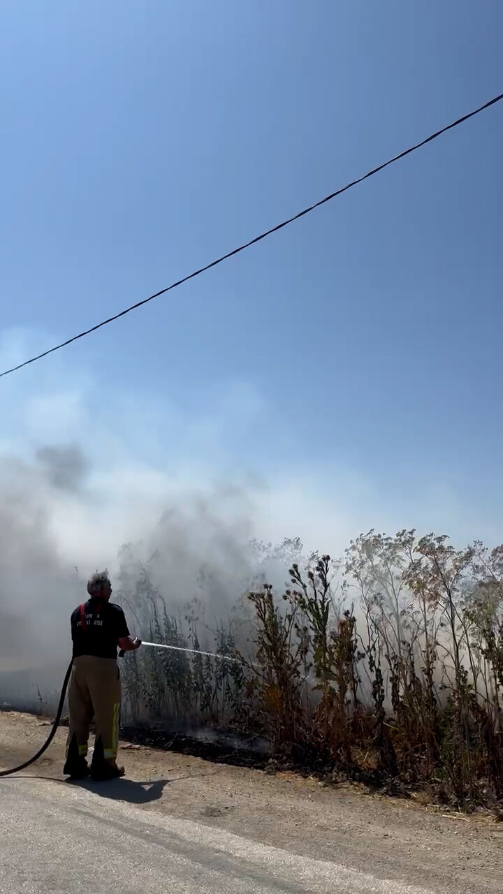 Sequence 01.00 00 06 24.Still002