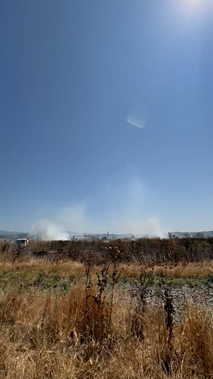 Sequence 01.00 00 20 14.Still005