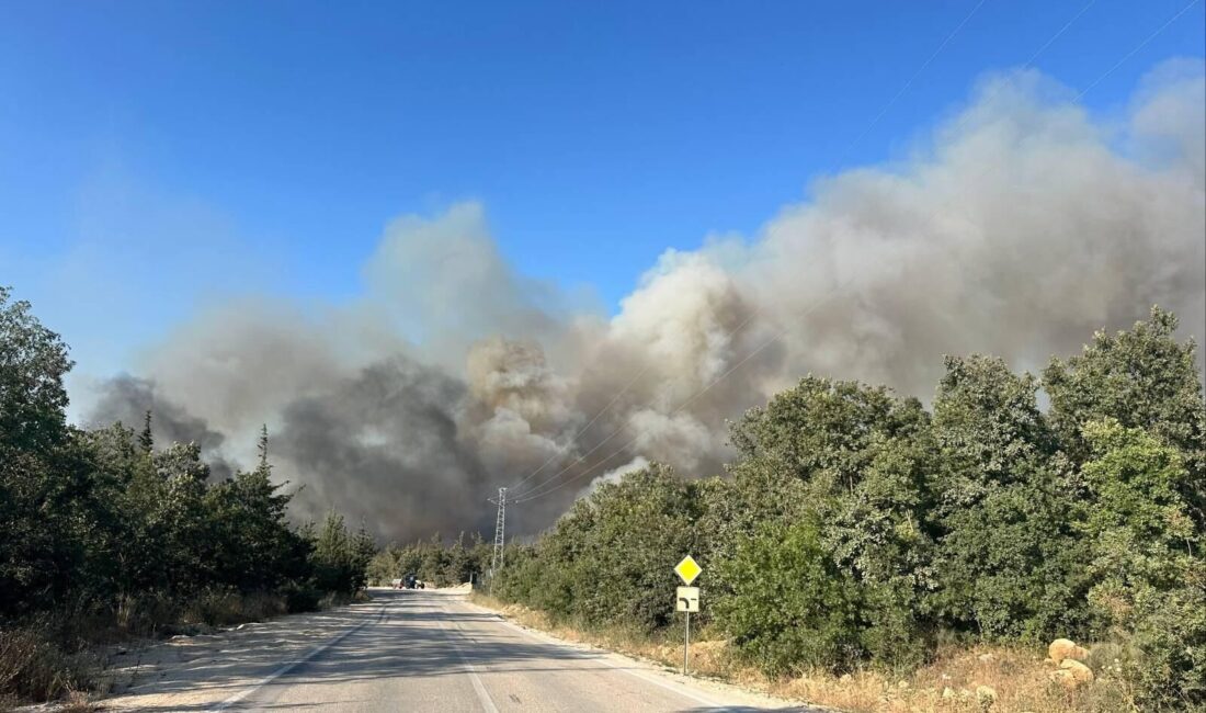 Nilüfer ilçesine bağlı Kayapa Mahallesi, Maksempınar ve Kuruçeşme Mahalleleri arasında