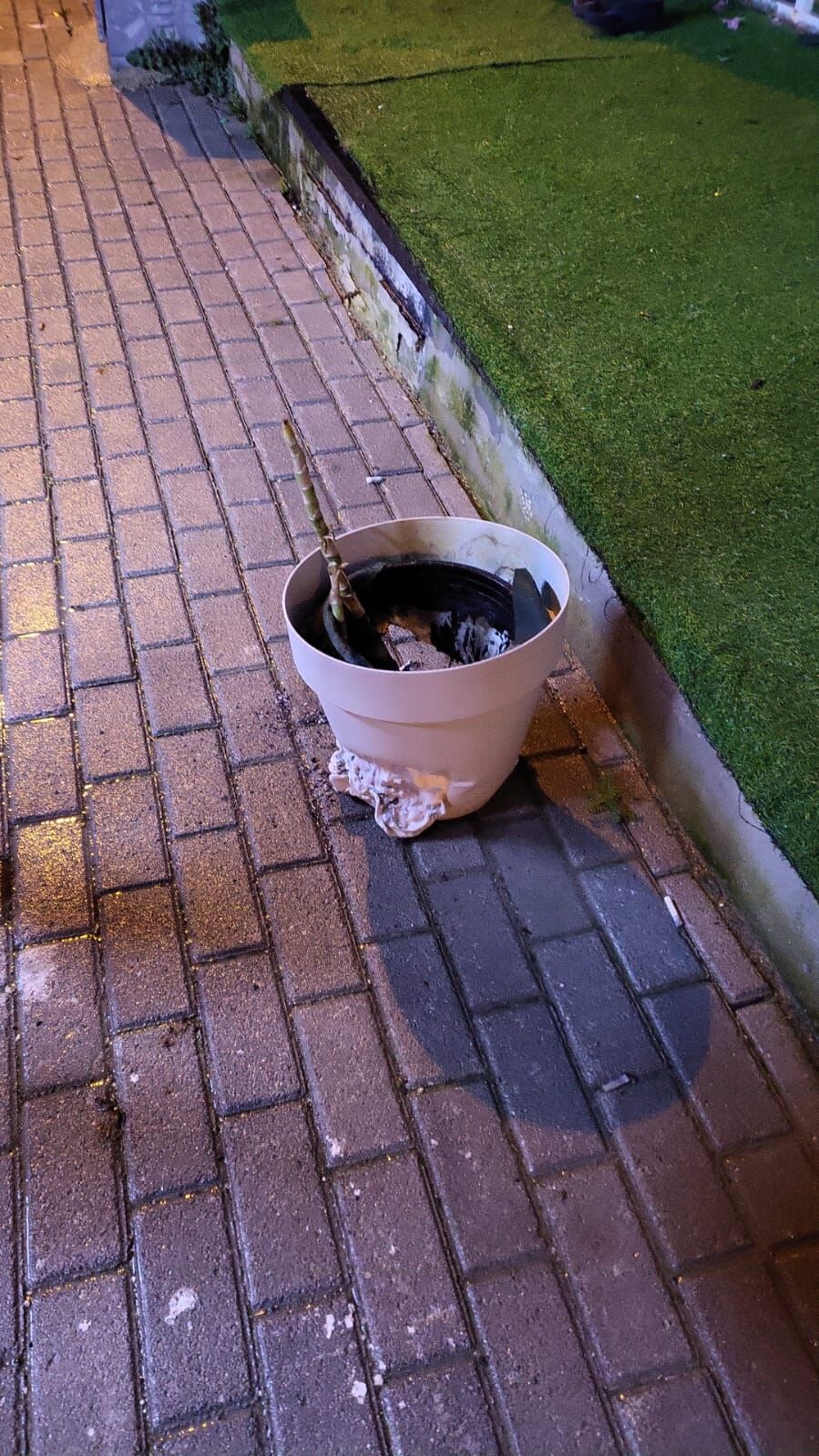 Whatsapp Image 2025 02 19 At 22.19.49