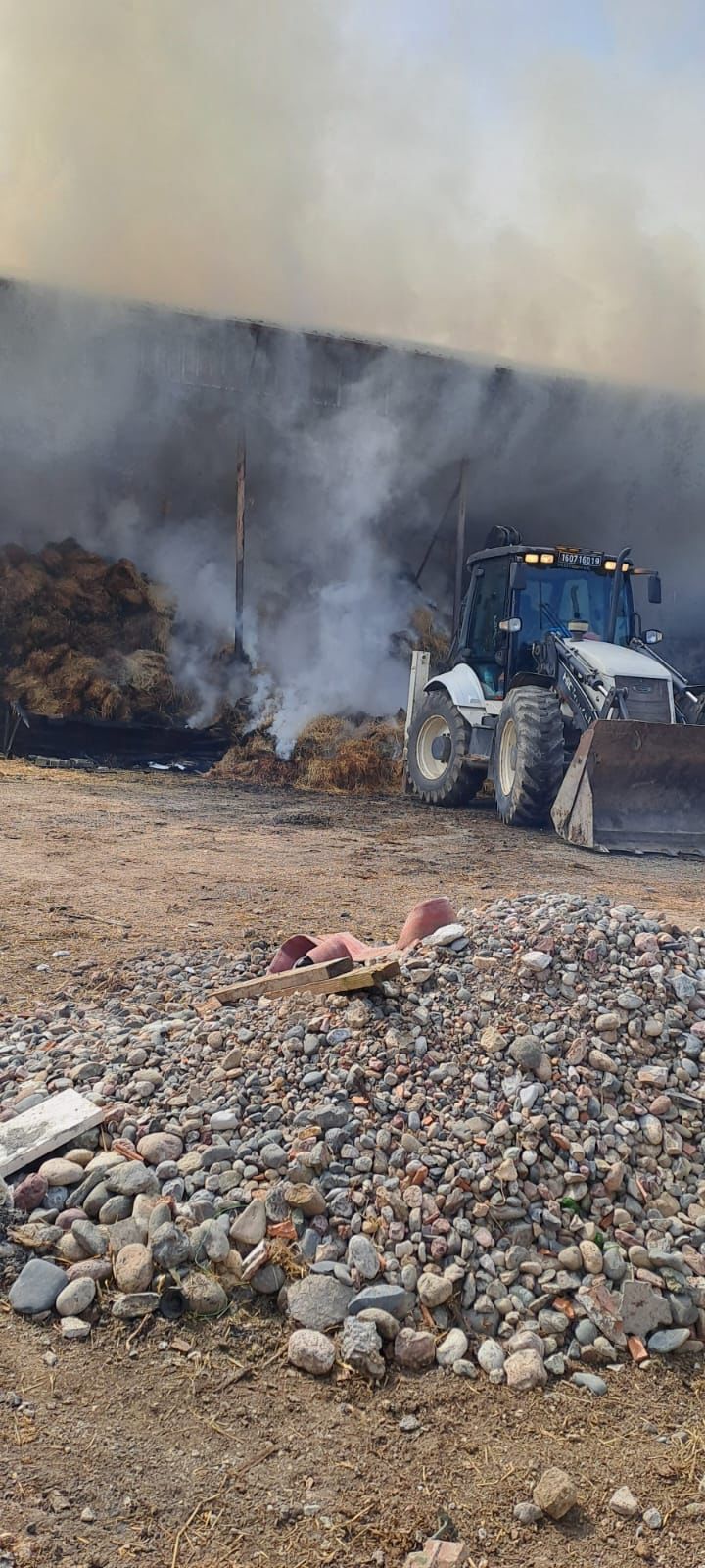 Whatsapp Image 2025 03 09 At 14.37.43