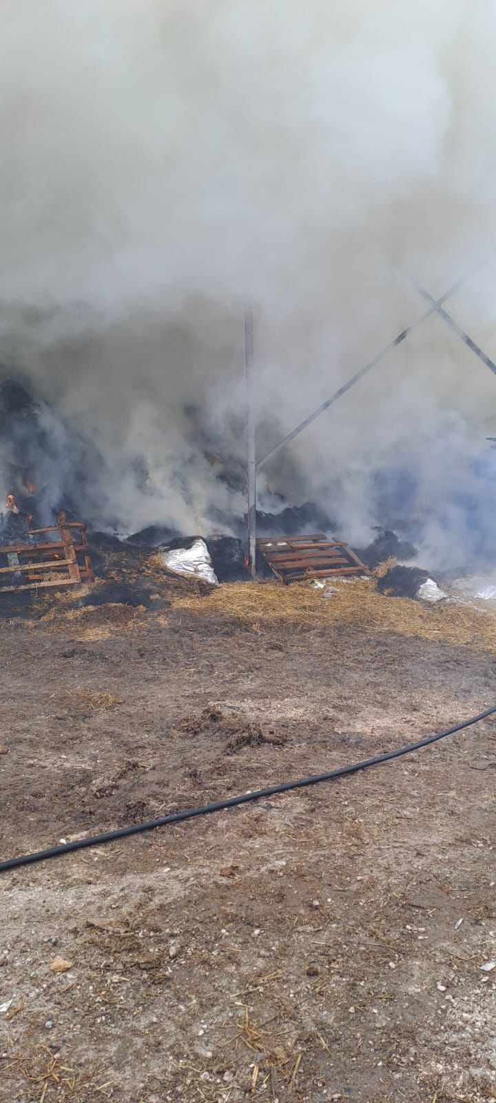 Whatsapp Image 2025 03 09 At 14.37.52