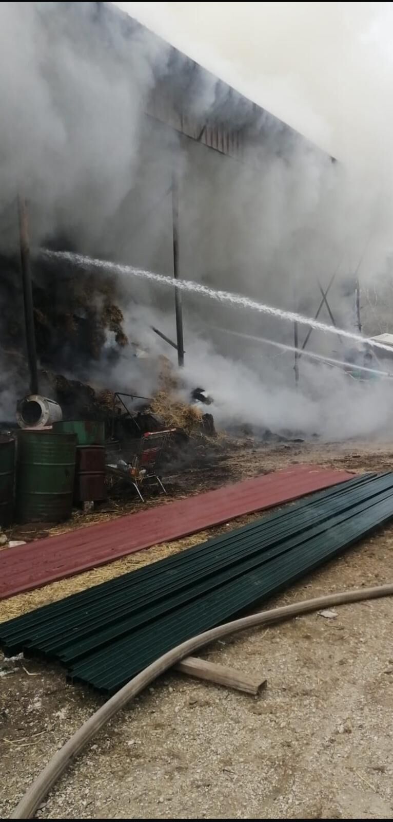 Whatsapp Image 2025 03 09 At 14.38.44