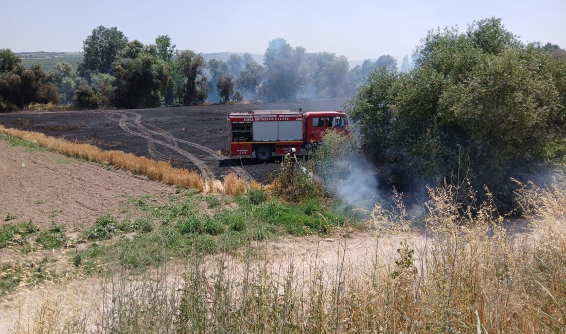 Mustafakemalpaşa’nın Ayaz Mahallesi Koyubaşı Mevkii’nde saat 13.00 sıralarında çıkan yangın,