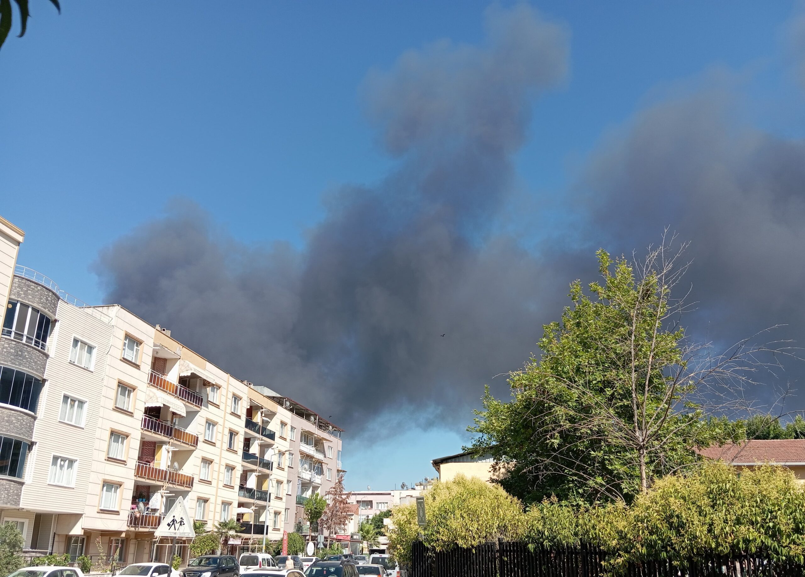 Whatsapp Image 2025 06 26 At 16.54.18