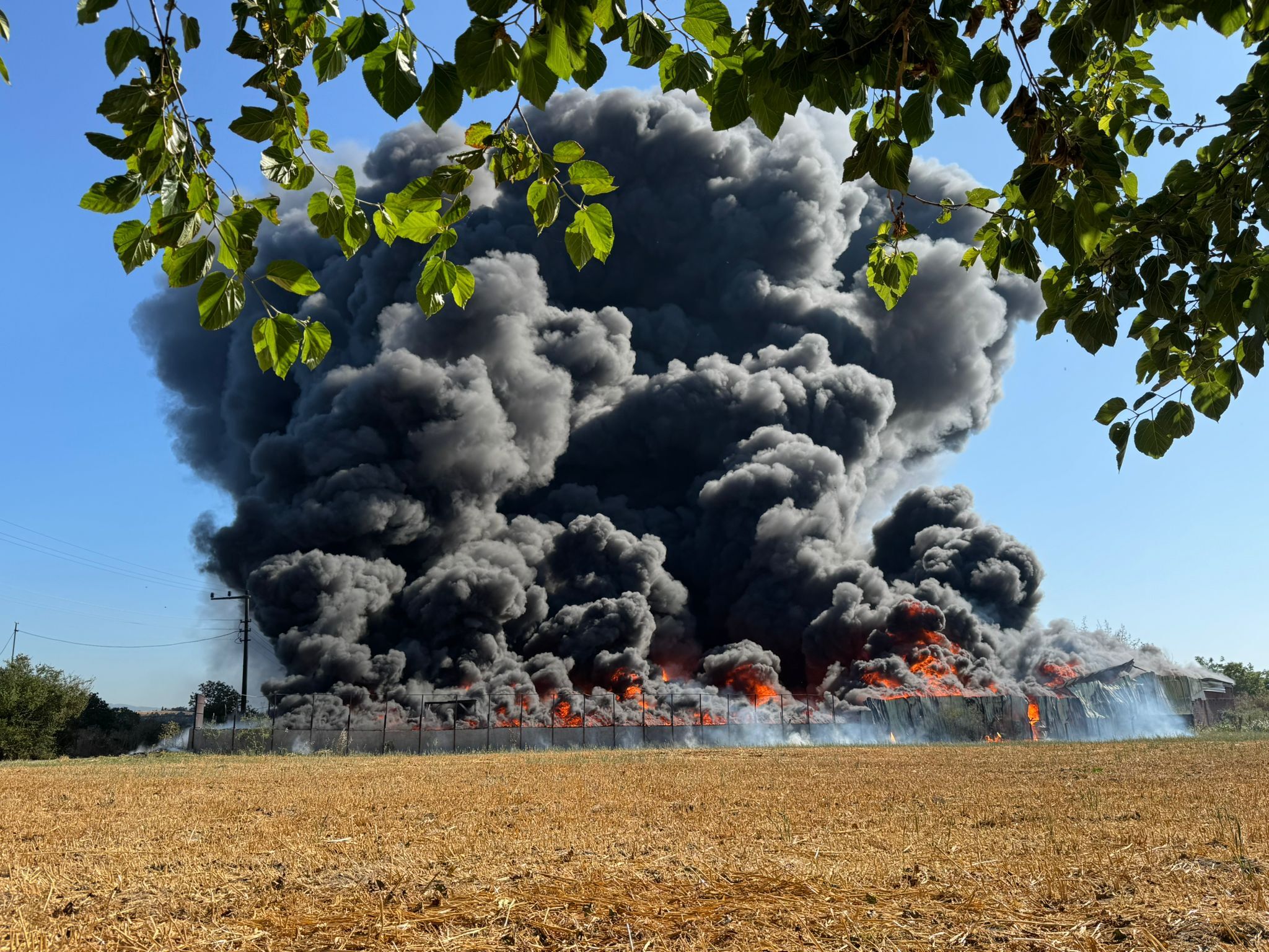 Whatsapp Image 2025 06 26 At 17.05.23