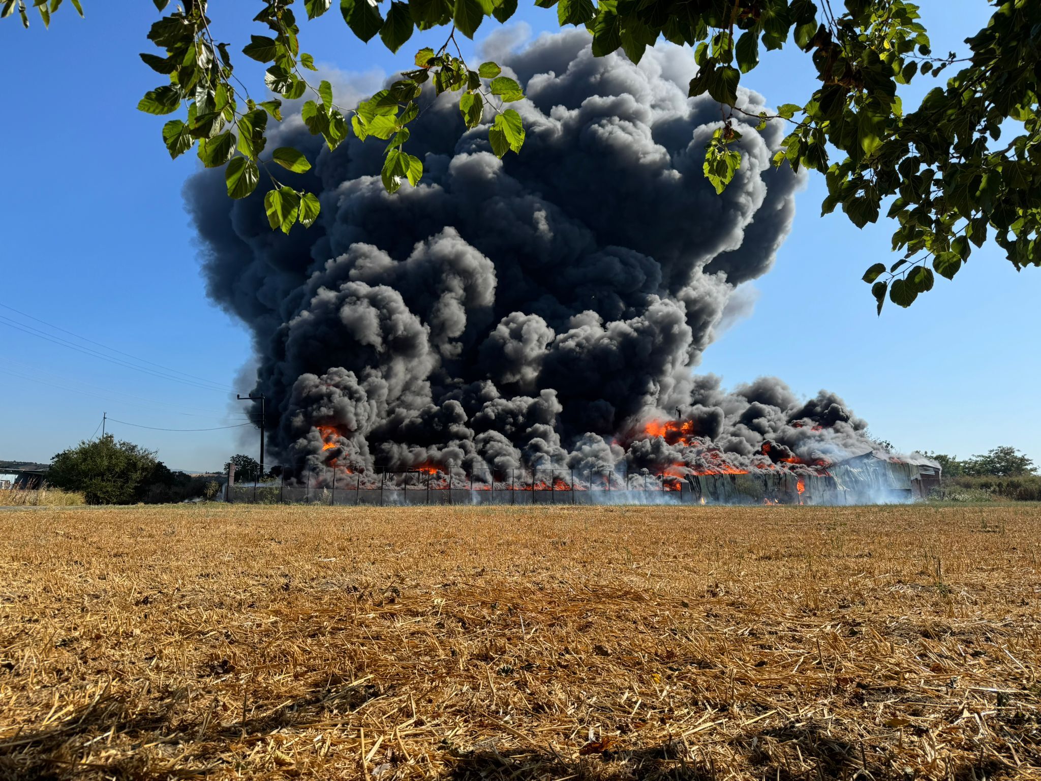 Whatsapp Image 2025 06 26 At 17.05.24