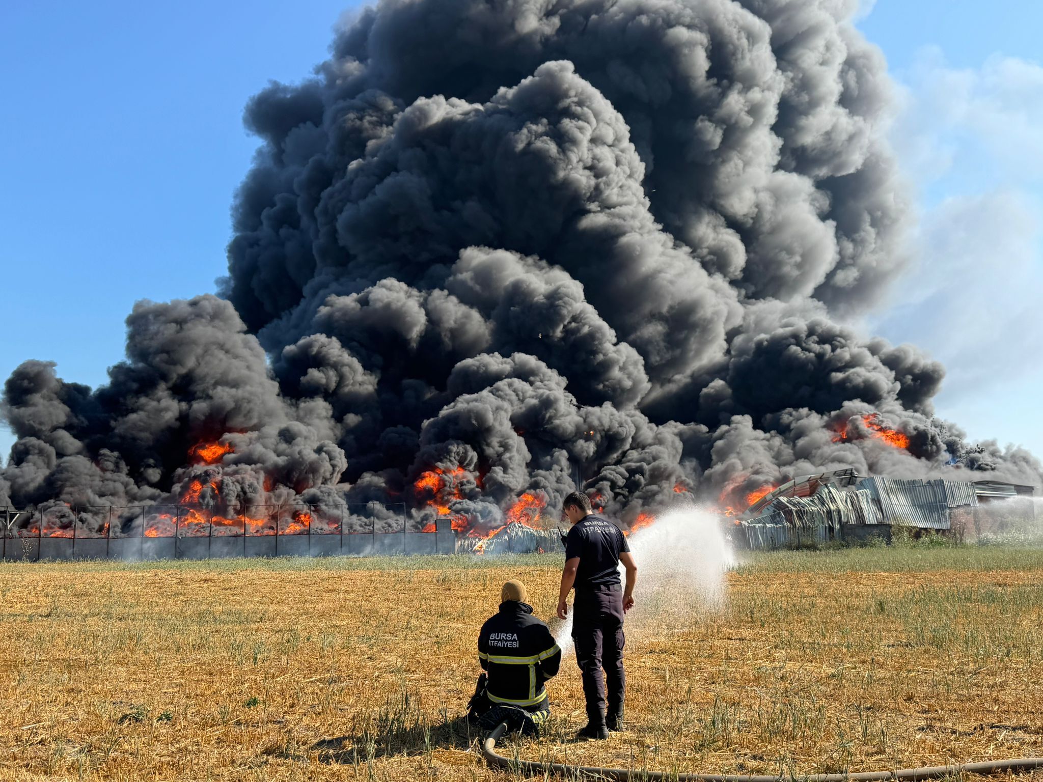 Whatsapp Image 2025 06 26 At 17.15.58