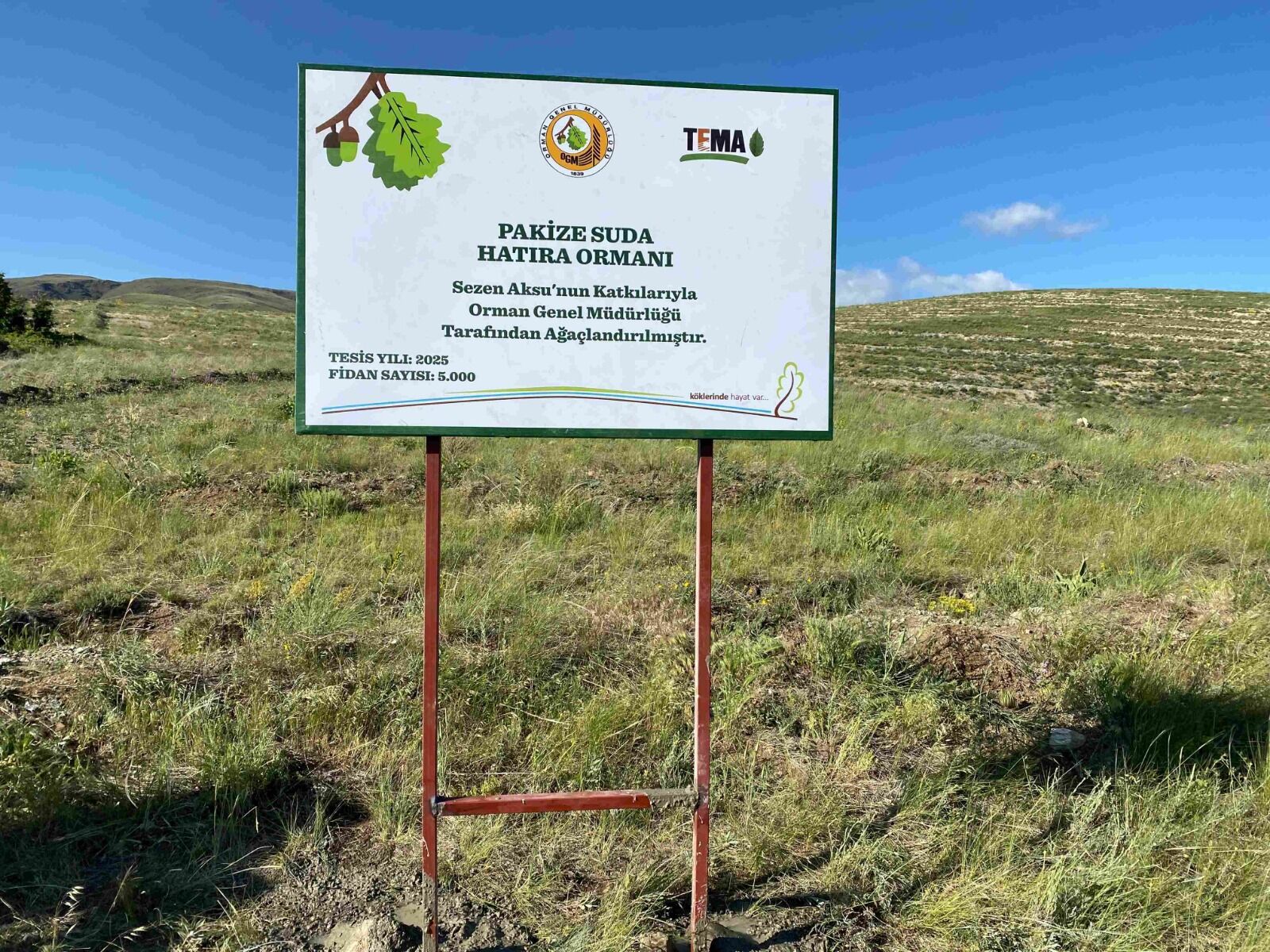 Whatsapp Image 2025 08 05 At 23.19.36