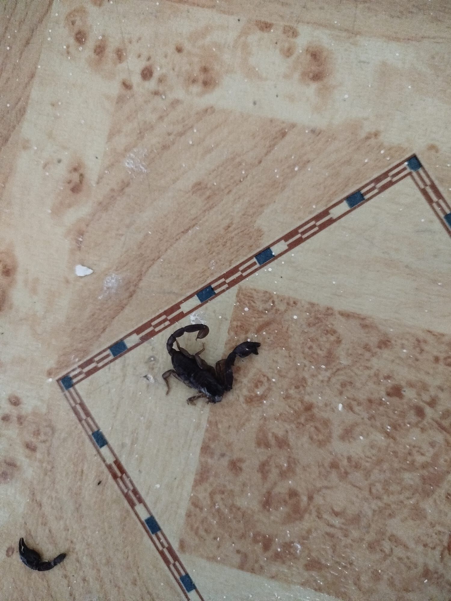 Whatsapp Image 2025 08 12 At 15.02.42 (1)