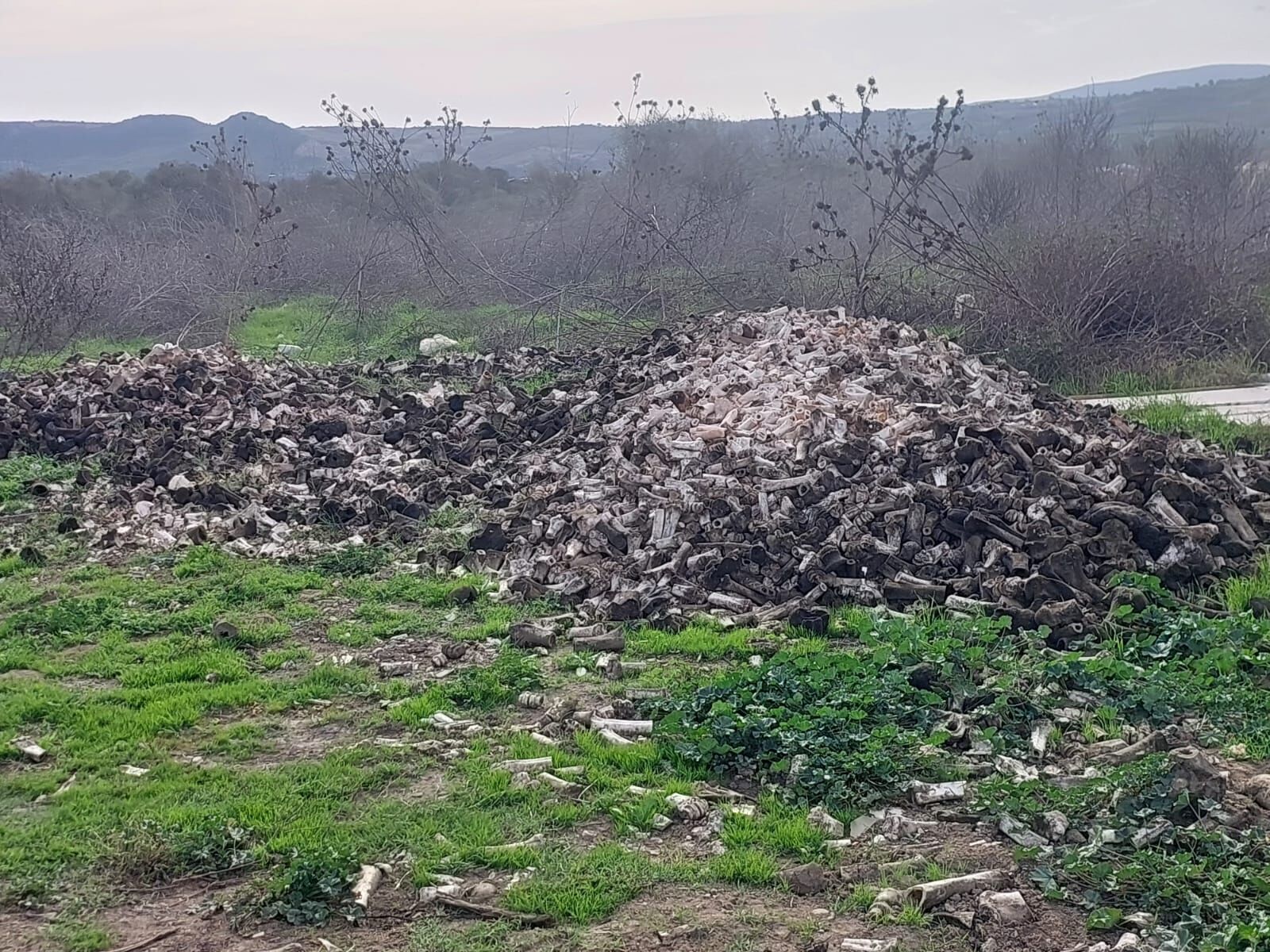 Whatsapp Image 2025 10 28 At 00.07.42 (1)