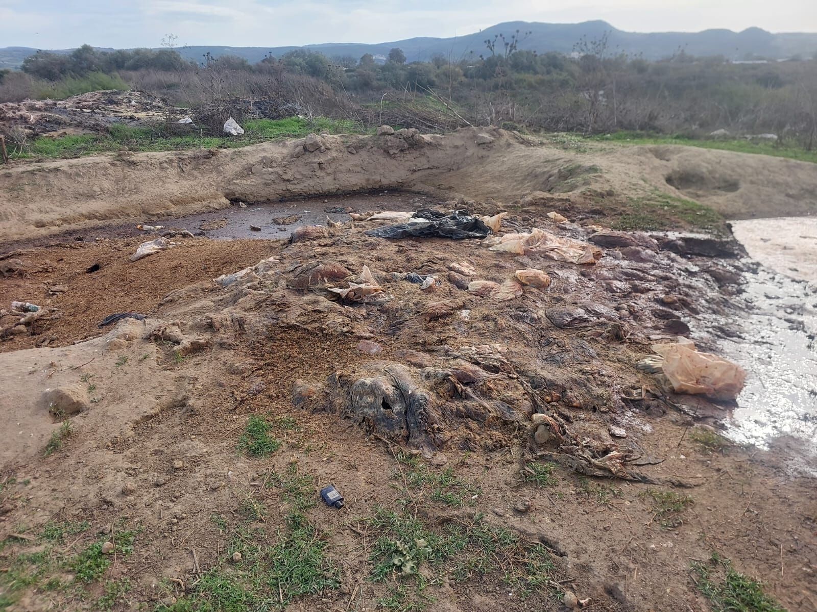 Whatsapp Image 2025 10 28 At 00.07.43 (1)