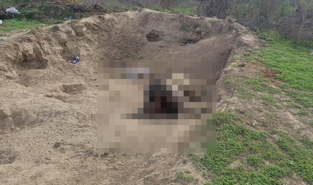 Bursa’nın Mustafakemalpaşa ilçesinde, BUSKİ’ye ait arıtma tesisinin hemen karşısındaki alanda