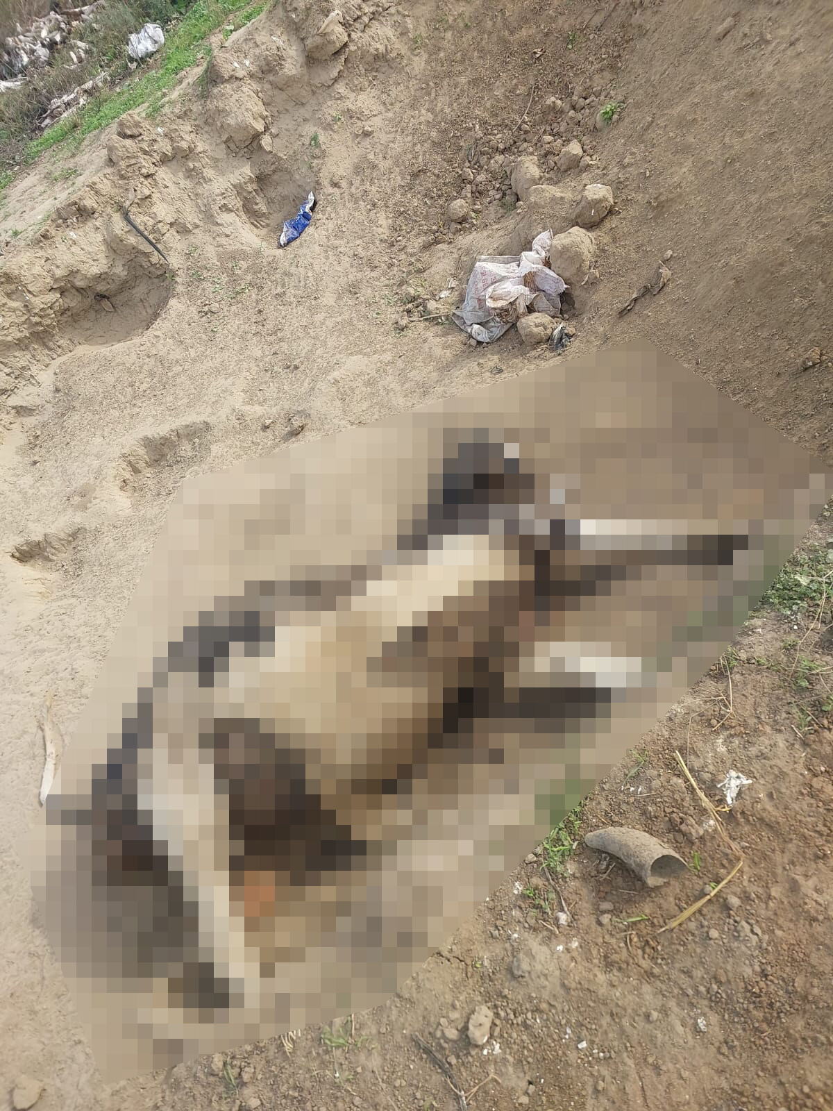 Whatsapp Image 2025 10 28 At 00.07.43 (3)