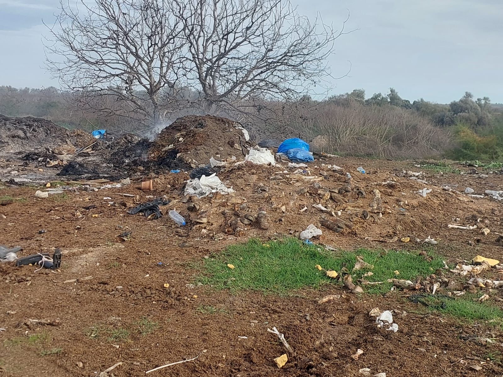 Whatsapp Image 2025 10 28 At 00.07.43