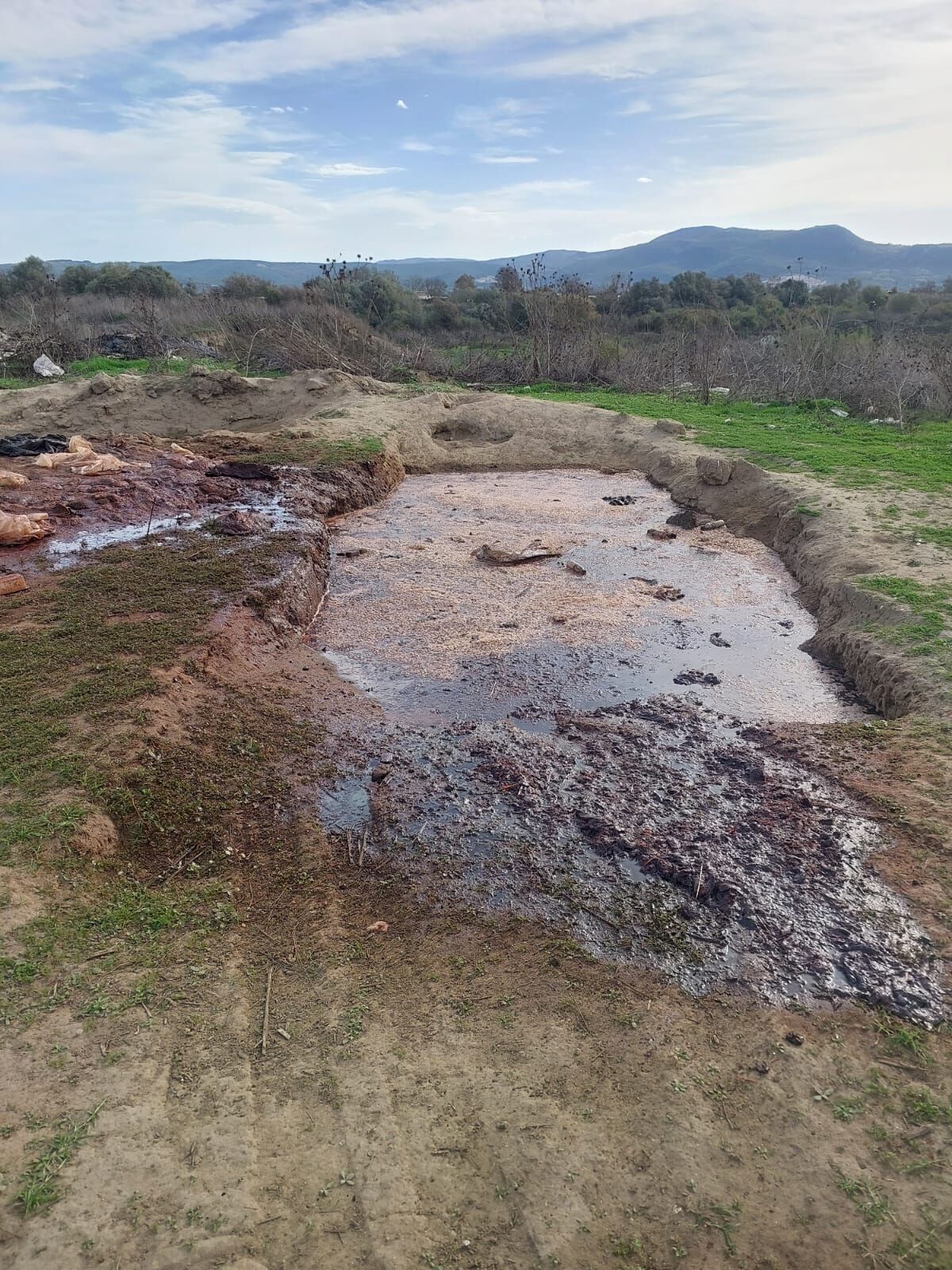 Whatsapp Image 2025 10 28 At 00.07.45 (1)