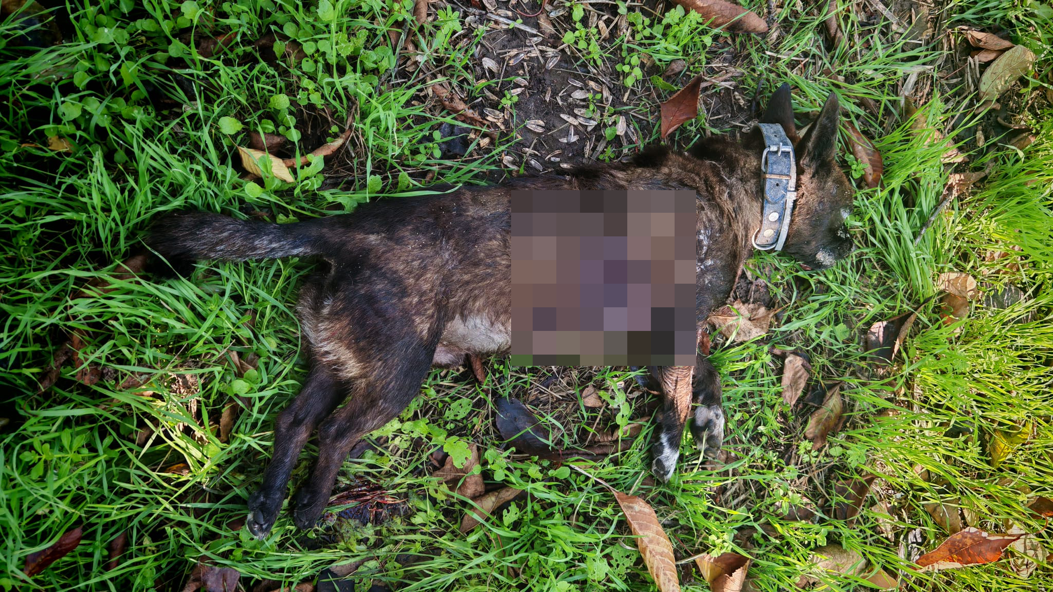 Whatsapp Image 2025 11 04 At 12.20