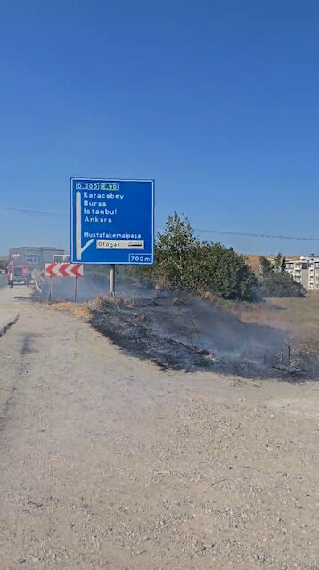 Whatsapp Video 2025 08 25 At 16.45.39.00 00 16 15.Still002