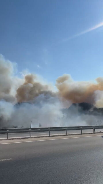 Whatsapp Video 2025 08 25 At 16.45.39.00 00 26 12.Still001