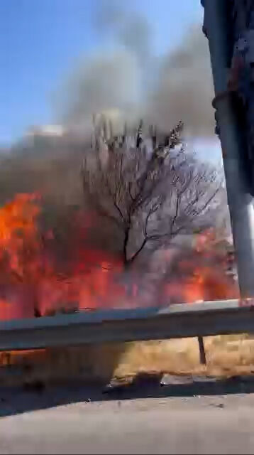 Whatsapp Video 2025 08 25 At 16.45.39.00 00 30 11.Still004