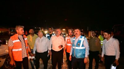 Bursa, hafta sonu 4 farklı ilçede çıkan orman yangınlarıyla yasa